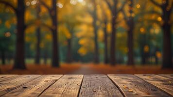 Empty wooden surface on blurred seasonal autumn background. Nature with view to park trees. Mock up with copy space. Template showcase scene for display, montage, advertising product. photo