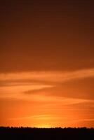 A bright orange sunset and a black forest beyond the horizon. Beautiful sunset. photo