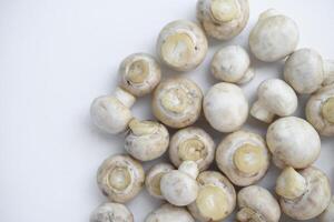 Porcini mushrooms on a white background. The mushrooms are cleaned in the kitchen. photo
