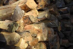 There's firewood in the closet. Stacked firewood. Storage of firewood. photo