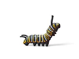 Miniatur of Black caterpillar on a white background photo