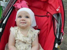 Portrait of adorable toddler girl sitting in stroller photo