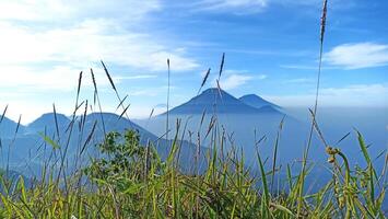 Natural views of Mount Sindoro and Mount Sumbing taken from the peak of Mount Bismo, Dieng, Wonosobo, Central Java in the morning, suitable for use as a natural background photo