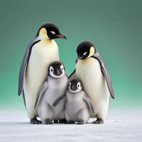 penguins plain background photo