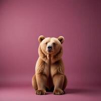 Bear with white background photo