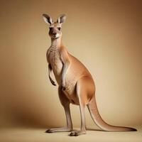 a kangaroo standing on its hind legs in front of a gray background photo