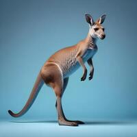 a kangaroo standing on its hind legs in front of a gray background photo