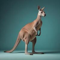 a kangaroo standing on its hind legs in front of a gray background photo