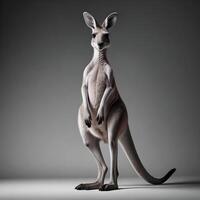 a kangaroo standing on its hind legs in front of a gray background photo