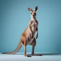 a kangaroo standing on its hind legs in front of a gray background photo