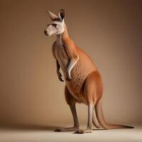 a kangaroo standing on its hind legs in front of a gray background photo