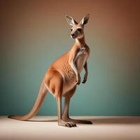 a kangaroo standing on its hind legs in front of a gray background photo