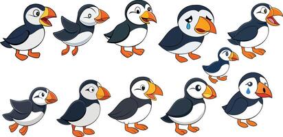 Atlantic Puffin design ,animal design vector