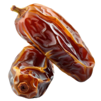 Dried date palms isolated on transparent background png