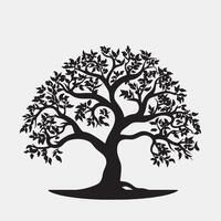black silhouette of a apple tree isolated white background vector