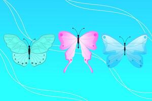 butterfly with various colors vector