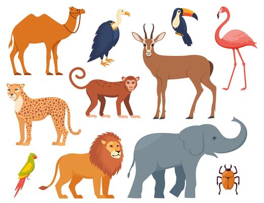 African animals and birds, set of characters. Elephant, giraffe, camel, cheetah, lion, flamingo, toucan, parrot, vulture, monkey. Wildlife animal of Africa, exotic safari travel. .