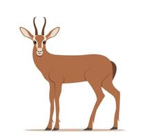 Antelope stand in side view. African wild gazelle with long horns. . vector
