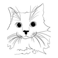 a cat with a mustache vector