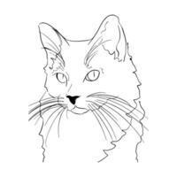 cat is cute vector