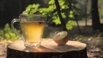 A close-up view of a glass of tea and a lemon slice on a tree stump in the forest. The sun shines through the leaves, casting a warm glow on the scene. video