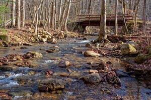 Creek going under a bridge photo