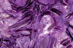 Macro stone mineral Charoite on a white background photo