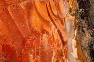 Macro stone Jasper mineral on white background photo