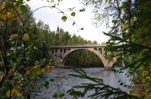 arched bridge over a wide river surrounded by autumn forest photo