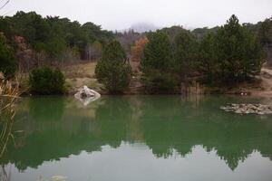 view of a mountain lake surrounded by bushes and trees in autumn photo