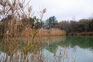 view of a mountain lake surrounded by bushes and trees in autumn photo