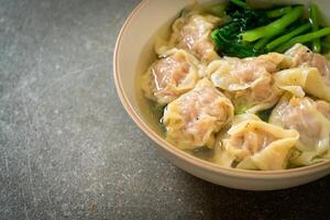 pork wonton soup or pork dumplings soup with vegetable photo