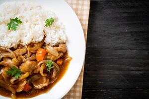 Japanese curry rice with sliced pork, carrot and onions photo