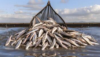 Scoop net with the many fresh fish photo