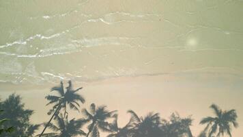 Tropical beach with palm tree shadows on the sand and crystal clear waves video