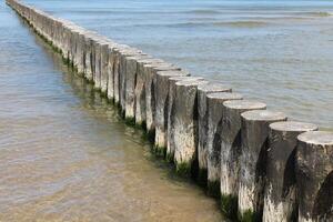 seaside at springtime photo