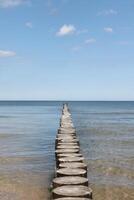 seaside at springtime photo