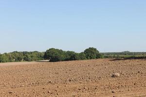 photo of spring field