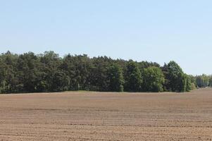 photo of spring field