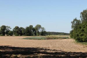 photo of spring field
