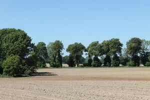 photo of spring field
