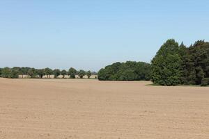 photo of a spring field