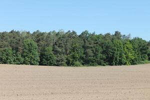photo of spring field