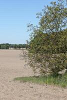 photo of spring field
