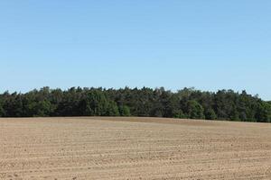 photo of spring field