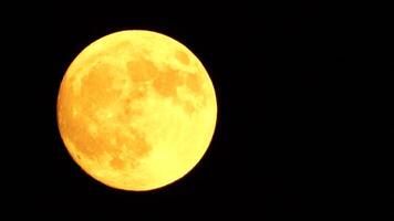 Glowing yellow huge full moon as seen from earth through the clouds against starry night sky. Large full moon moves across the sky, moon makes its way from bottom left frame to top right. video