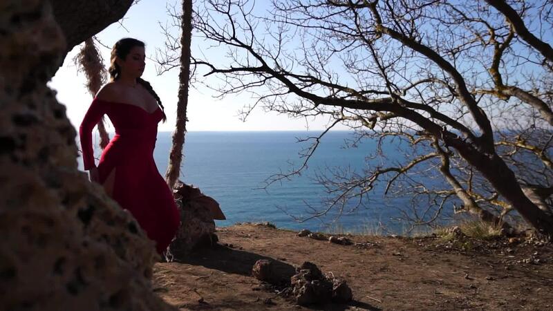 Nahansicht Porträt von sinnlich jung Brünette Frau im rot Kleid, glücklich Tanzen draußen isoliert auf verschwommen Meer Hintergrund mit natürlich Bokeh im Sanft warm Sonnenuntergang Hintergrundbeleuchtung. 46909320 Stock-Video bei Vecteezy