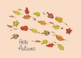 Set autumn leaves. Hand lettering Hello Autumn. Banner, background with leaves. Autumn wind. The leaves are flying. Drawings, doodles. Color illustration. White isolated background. vector
