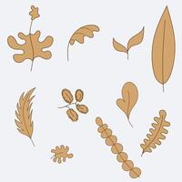 Cartoon set of brown tropical leaves. design elements on white background for print and template. vector
