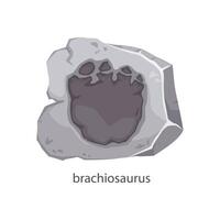 Brachiosaurus dinosaur footprint fossil in stone vector